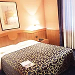 Hotel Novotel Centro 4*